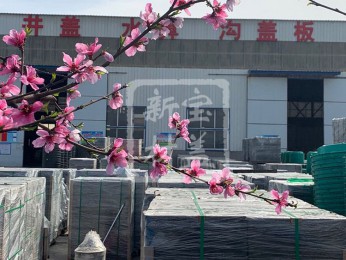 花滿枝頭，春意盎然